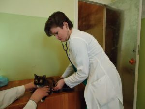 Ветеринарная клиника ИП «Сизякин С.И.»